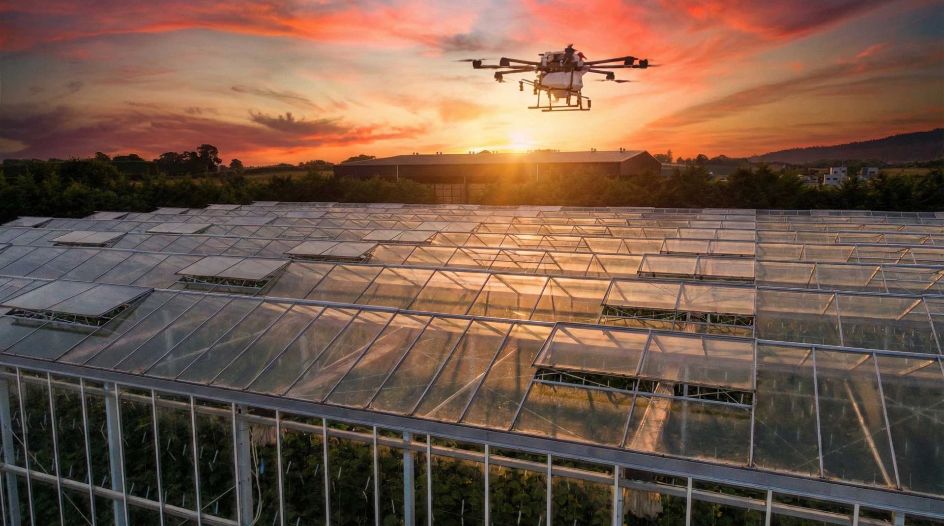 Agrardrohne bei der Beschattung eines Gewächshauses