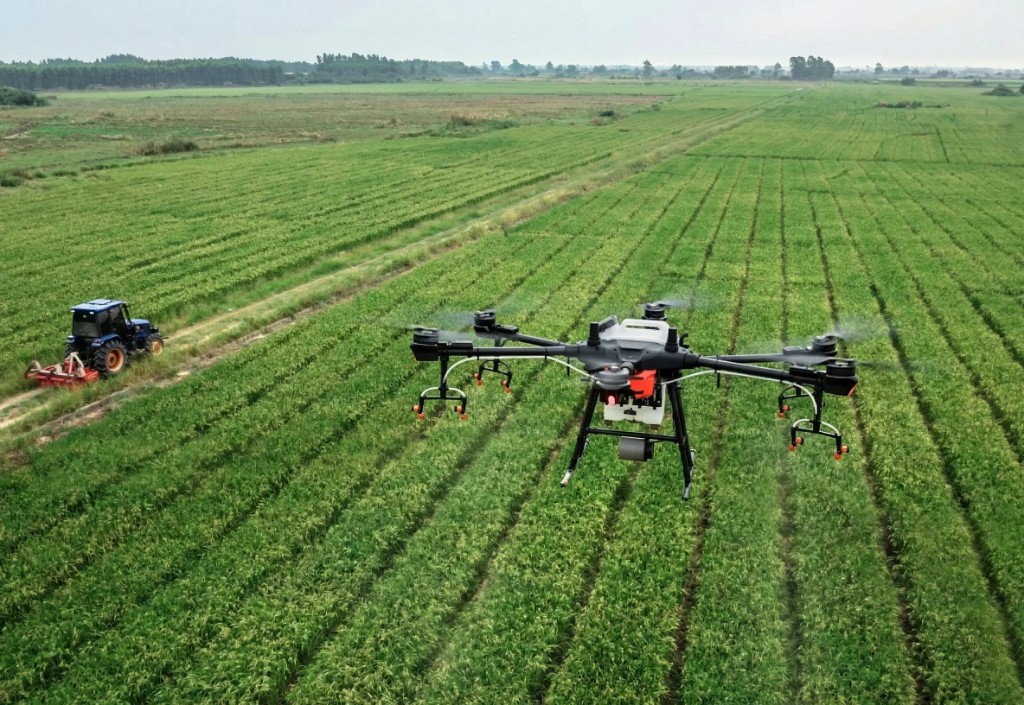 Aussaat und Ausbringung