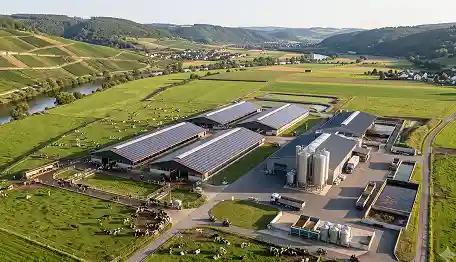 Industrielle Nutztierhaltungsanlage