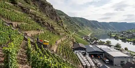 Weinbau in steiler Hanglage