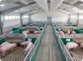 Dach einer industriellen Nutztieranlage