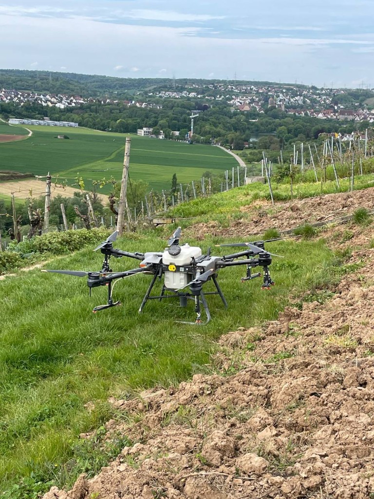 Fungizidausbringung per Drohne an der Mosel, April 2024