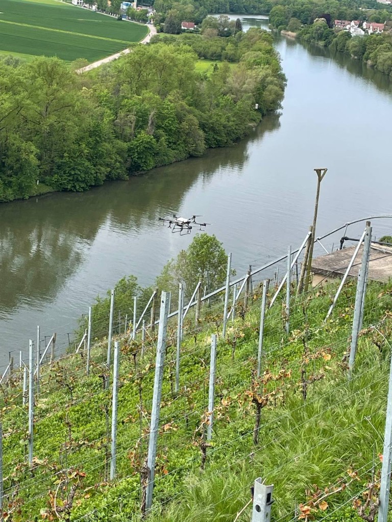 Drohneneinsatz Weinberg Mosel, April 2024