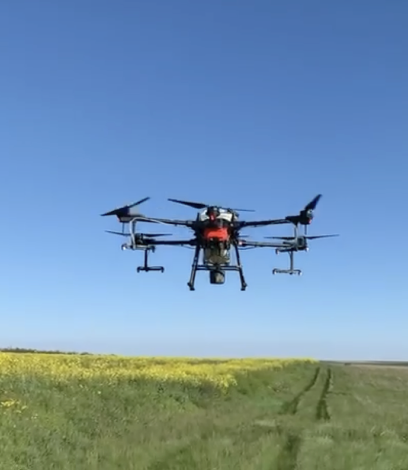 Dron rolniczy w locie nad polem rzepaku